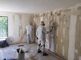  Baywood, NY Mold Remediation Pros